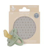 Orthodontic - MOSS GREEN